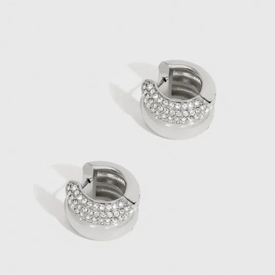 Festive Earrings