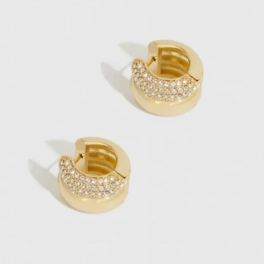 Festive Earrings